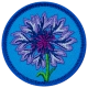 E602