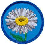 A white daisy is in the centre of a blue, circular patch. 