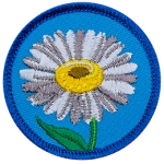 A white daisy is in the centre of a blue, circular patch. 
