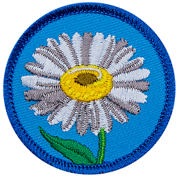 A white daisy is in the centre of a blue, circular patch.