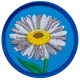 E603