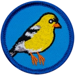 This circular patch displays a vibrant yellow goldfinch, a small finch with a striking black cap and white rump.