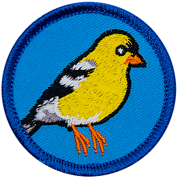 This circular patch displays a vibrant yellow goldfinch, a small finch with a striking black cap and white rump.