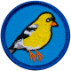 E604