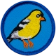 E604