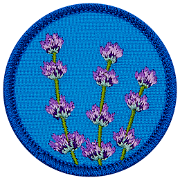 Three sprigs of lavender fully in bloom reach towards the sky in this circular, merrow-bordered patch.