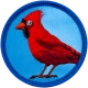 E716