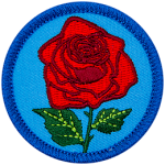 A red rose is on a blue, circular patch.