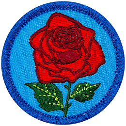 A red rose is on a blue, circular patch.