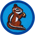 The side view of a chipmunk holding an acorn on a blue background.