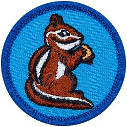 The side view of a chipmunk holding an acorn on a blue background.