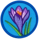 Crocus (Iron-On)