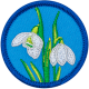 Snowdrop (Iron-On)