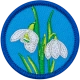 E797