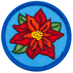 The top-down view of a red poinsettia against a blue background.