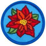 The top-down view of a red poinsettia against a blue background.