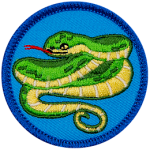 A green snake coiled around itself, sticking out its red tongue on a blue background.