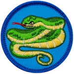 A green snake coiled around itself, sticking out its red tongue on a blue background.