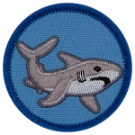 A grey shark swimming through a blue background.
