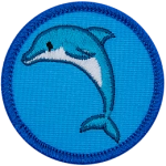 A blue dolphin leaping in the air on a blue background. 