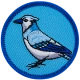 E843