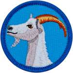 The side profile of a white goat with curved brown horns on a blue background.