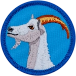 The side profile of a white goat with curved brown horns on a blue background.