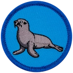 A sea lion with its head raised high on a blue background.