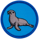 Sea Lion (Iron-On)