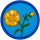 E987