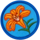 Tiger Lily (Iron-On)