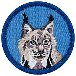 A forward-facing lynx on a blue background.
