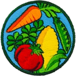A carrot, corn, tomato, cucumber and some leaves are on this circular patch.