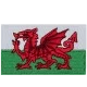 Wales Flag (Iron-On)