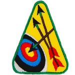 An archery target with a bullseye and two extra arrows.