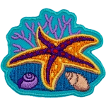 An orange and purple starfish is sprawled out on top of a coral reef. Two shells are next to it, there is coral in the background.