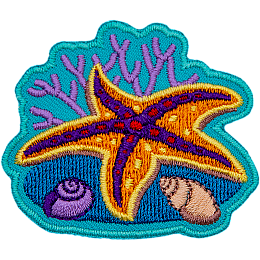 An orange and purple starfish is sprawled out on top of a coral reef. Two shells are next to it, there is coral in the background.