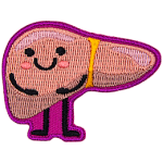 A liver with a kawaii-style face stands ready to educate.