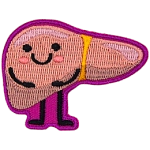 A liver with a kawaii-style face stands ready to educate.