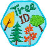 The word Tree ID is above several different tree species. 