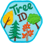 The word Tree ID is above several different tree species. 