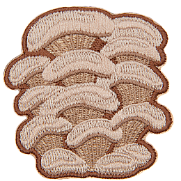 A cluster of cream-coloured oyster mushrooms.