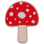 A mushroom with a red cap and white spots.