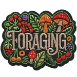 The word Foraging surrounded by mushrooms and plants.