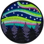 The Aurora Borealis lights up the night sky above a dark tree line.