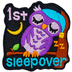 An owl on a branch sleeps against a tree. It wears a blue nightcap. The number 1 is above the word Sleepover.