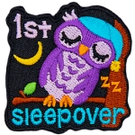 An owl on a branch sleeps against a tree. It wears a blue nightcap. The number 1 is above the word Sleepover.