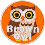 A brown owl stares at the viewer. The words Brown Owl are across the bottom.