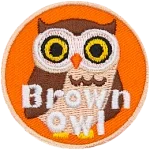 A brown owl stares at the viewer. The words Brown Owl are across the bottom.