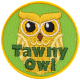 Tawny Owl (Iron-On)